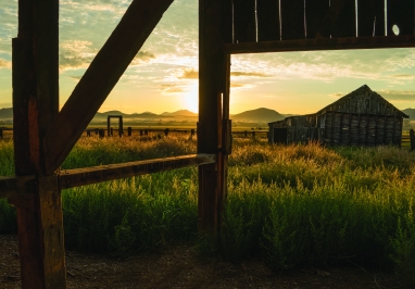 Image of an old barn in the middle of a field.